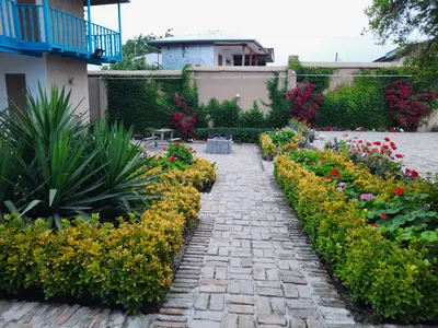 بومگردی ددنگه - واحد بهارخواب