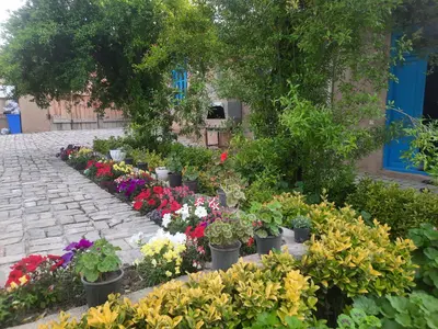 بومگردی خانی - واحد سرای کوچک