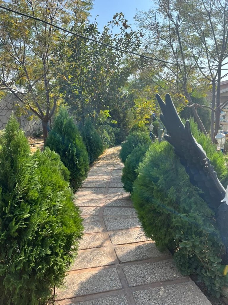 یک خوابه دشت سبز