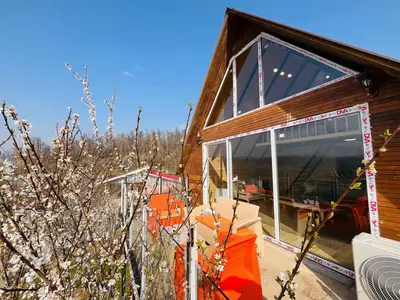 کلبه یک خوابه سوئیسی عمو سعید