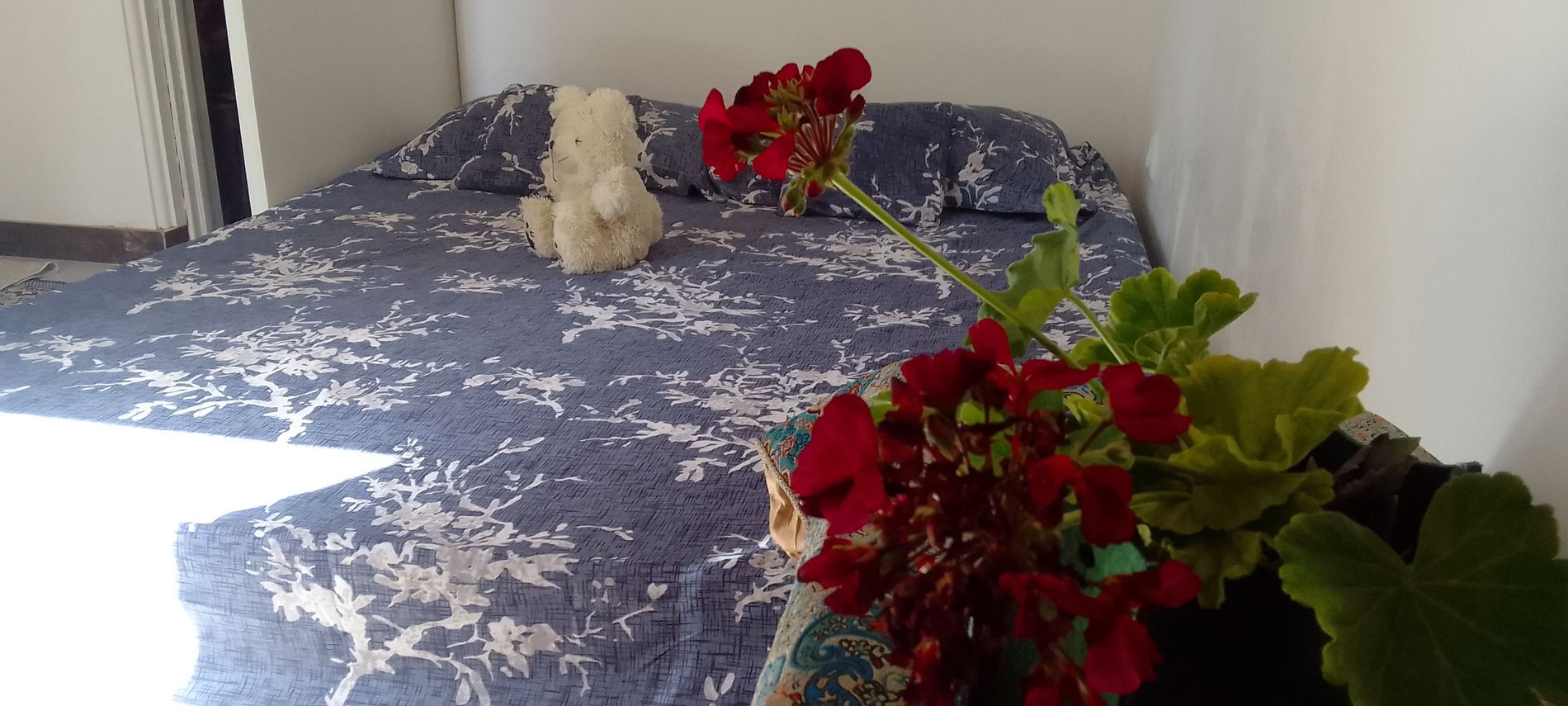 یک خوابه بهار2