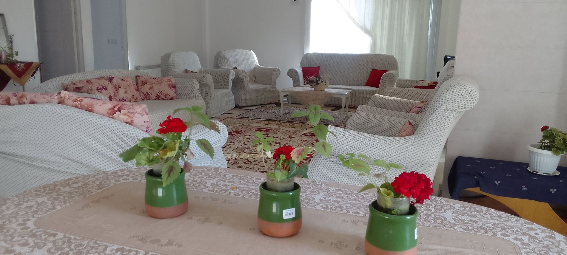 دوخوابه باغ بهار