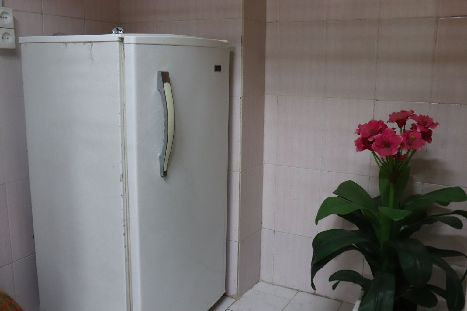 سوئیت یک خوابه حلاجیان - یخچال