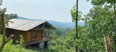 کلبه یک خوابه روجین