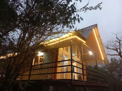 کلبه یک خوابه جنگلی سوئیسی راشا