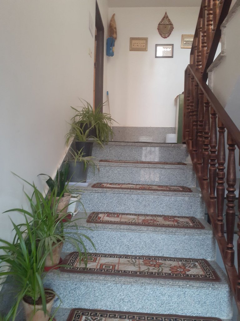 سوئیت یک خوابه گوهرویونا 4