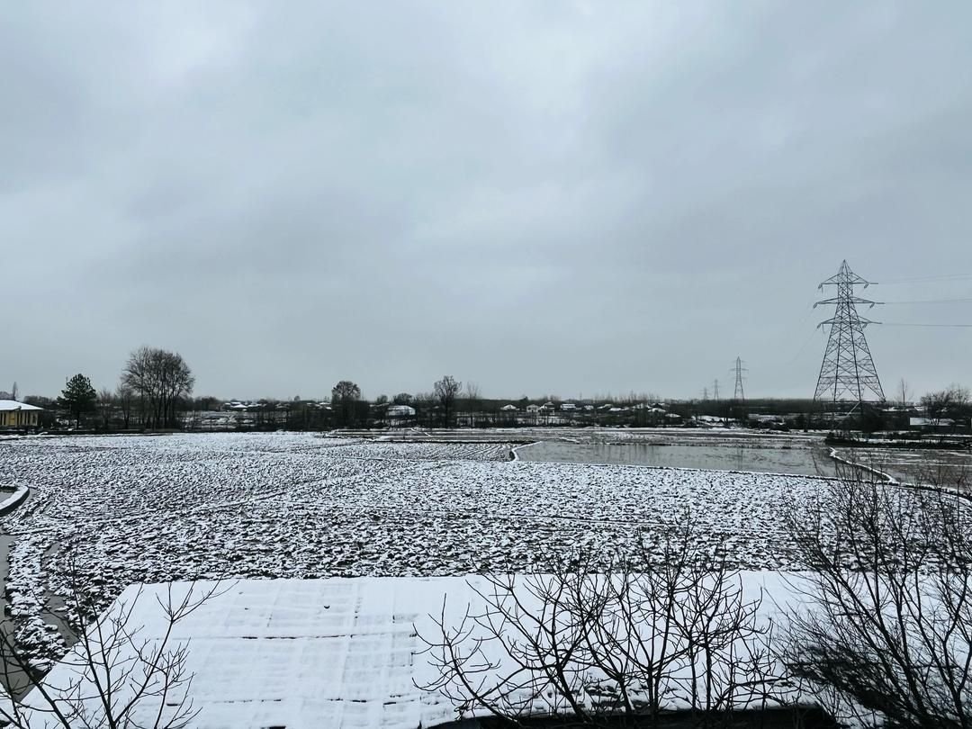 سوئیت یک خوابه شالیزار 3