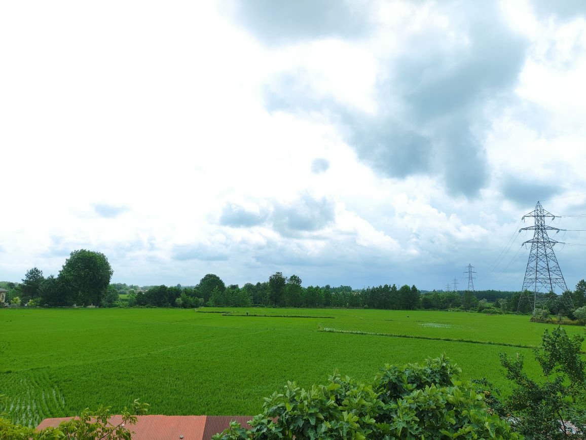 سوئیت یک خوابه شالیزار 3