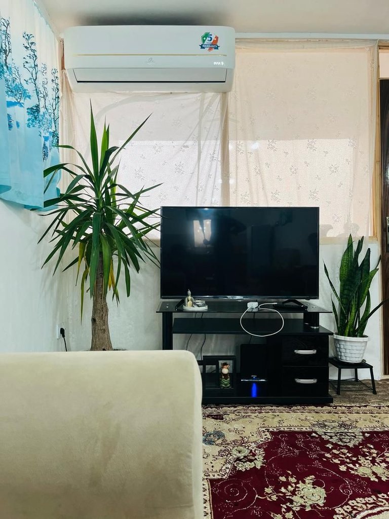 سوئیت یک خوابه شالیزار 3