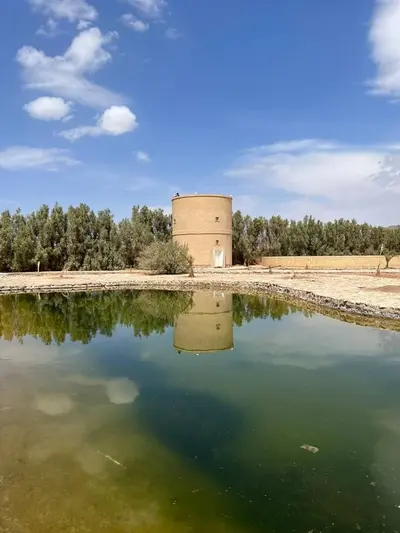 کاروانسرا مشجری - واحد صفوی