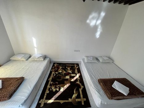 بوم گردی نخل مجول - واحد چهارنفره