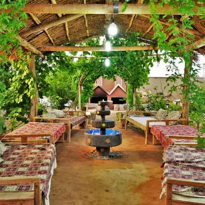 بومگردی شب های کاغذی - واحد 5