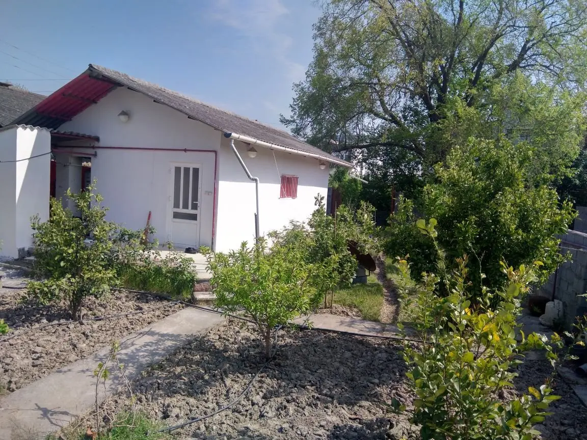 سوئیت فلت جنگلی پامچال ۲