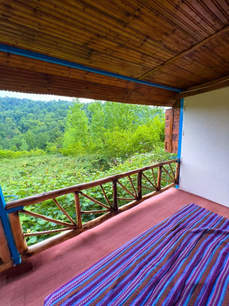 دوخوابه جنگلی سعید 1