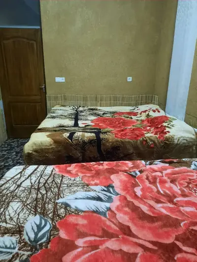 بومگردی گردو - واحد شیقون