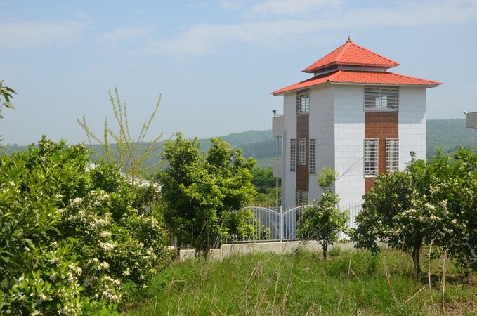 ویلا تریپلکس جنگلی نفار - نمای کلی اقامتگاه