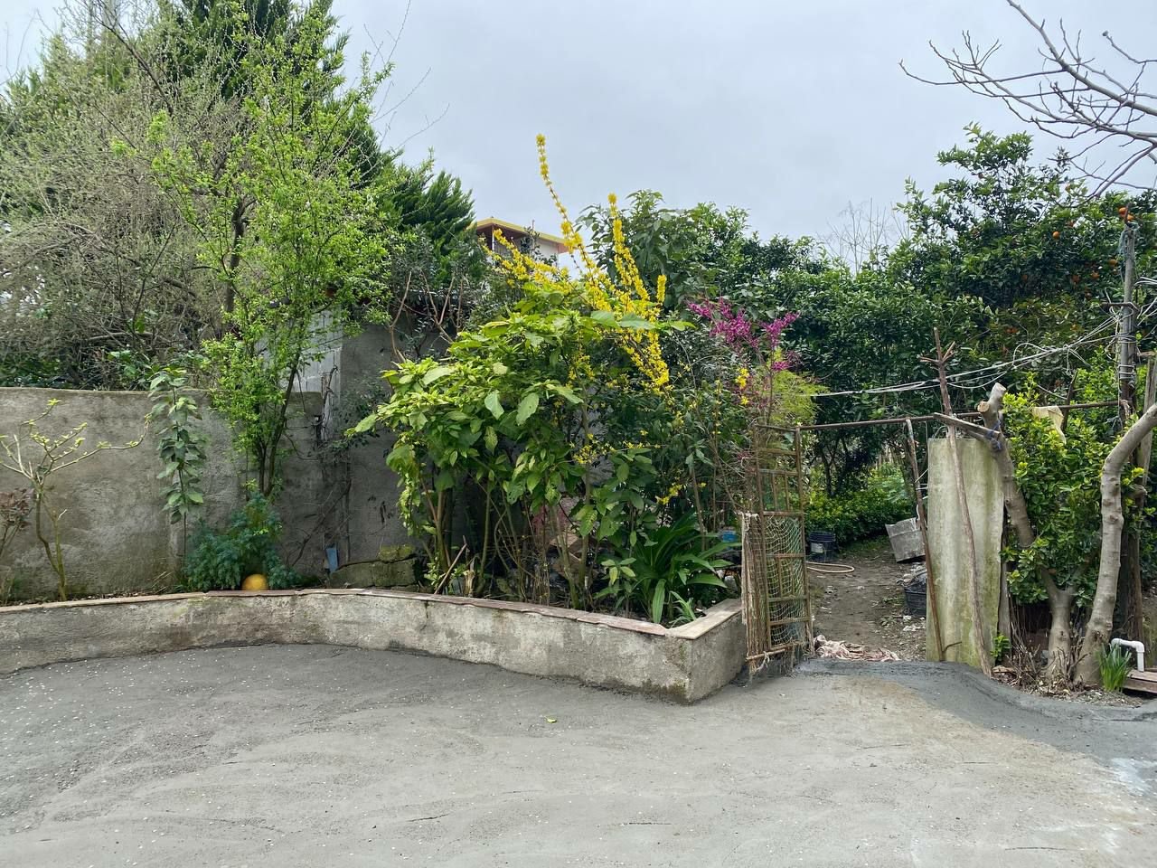 ویلا دوخواب سفیدتمشک 