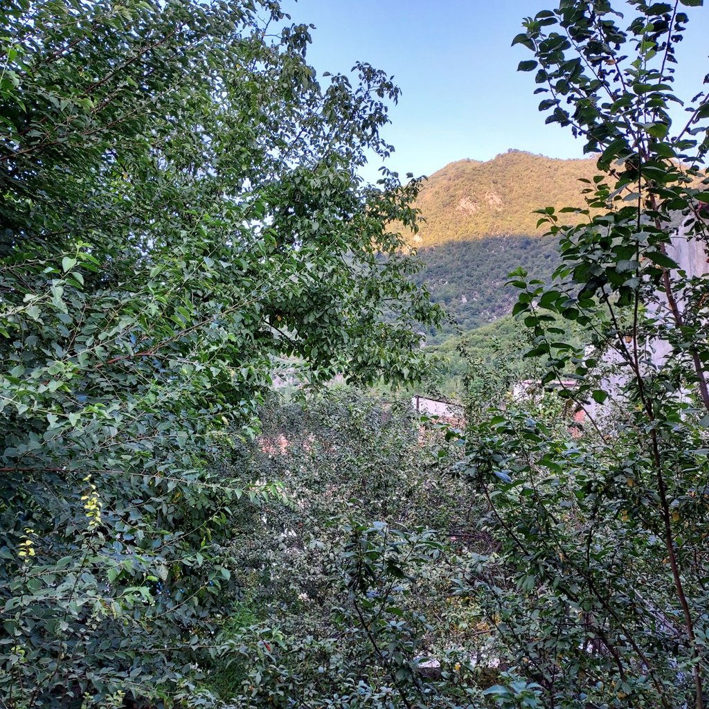 اقامتگاه سنتی عمو اکبر - واحد آرامش