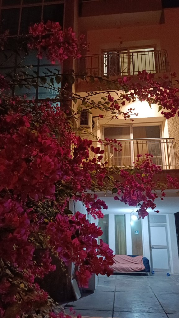 آپارتمان فلت صدف 1