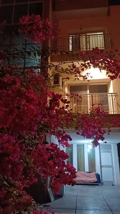 آپارتمان فلت صدف 1