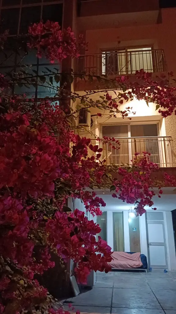 آپارتمان فلت صدف 1