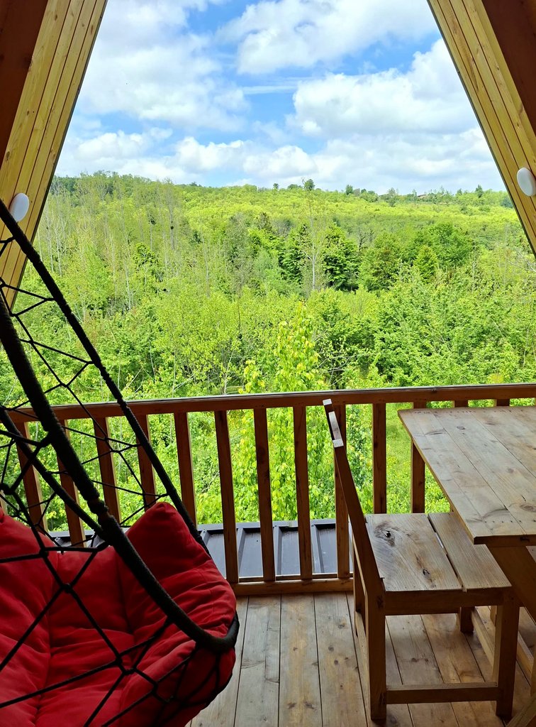 کلبه یک خوابه دوبلکس سوئیسی تینار