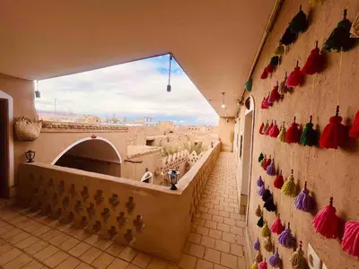 بومگردی راوی کویر مصر - واحد راوی٣