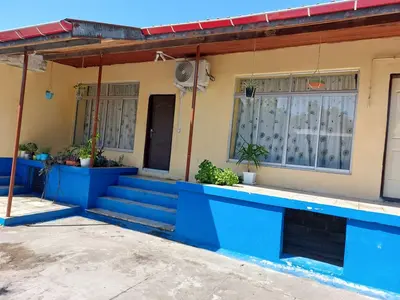 سوئیت یک خوابه سبز ۱