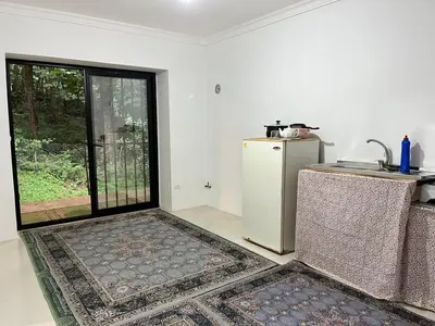 کلبه یک خوابه قو