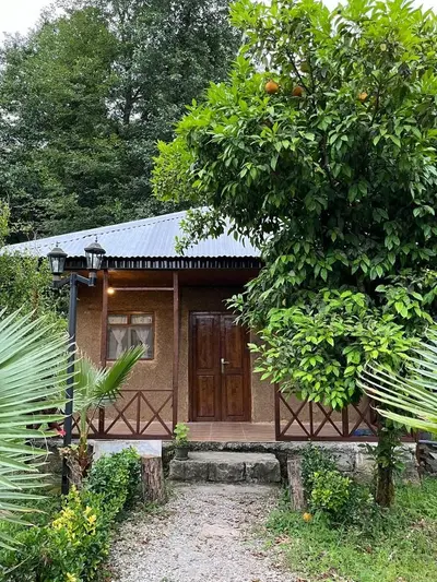 کلبه فلت جنگلی دانیال