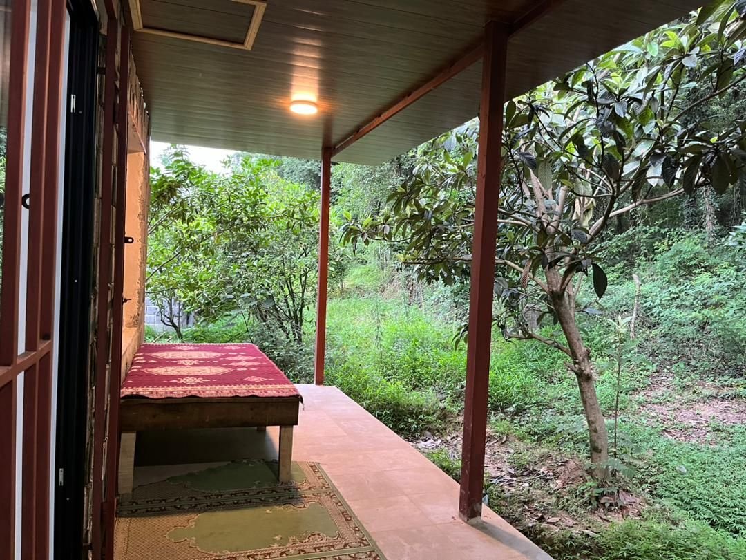 کلبه یک خوابه قو