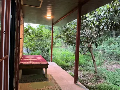 کلبه یک خوابه قو