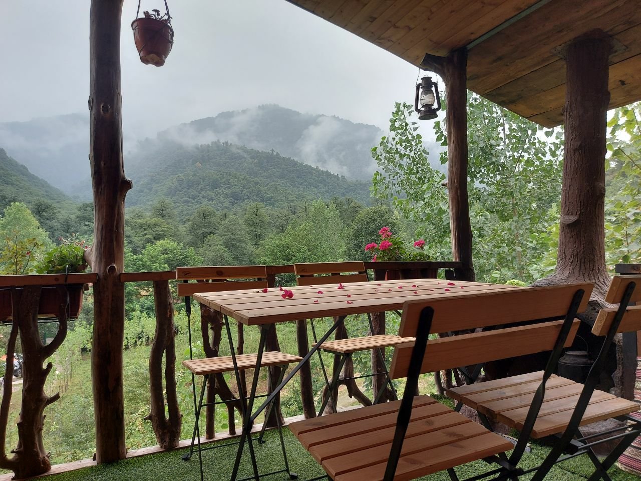 دوخوابه جنگلی زرین دشت ۱ لفور