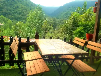 کلبه دوخوابه جنگلی چوبی زرین دشت