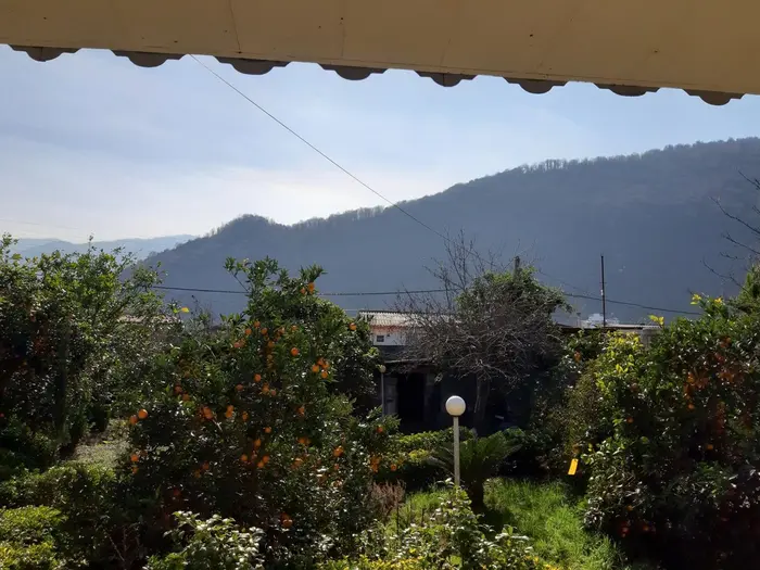 ویلا دوخوابه جنگلی سرولات 2 - منظره تراس