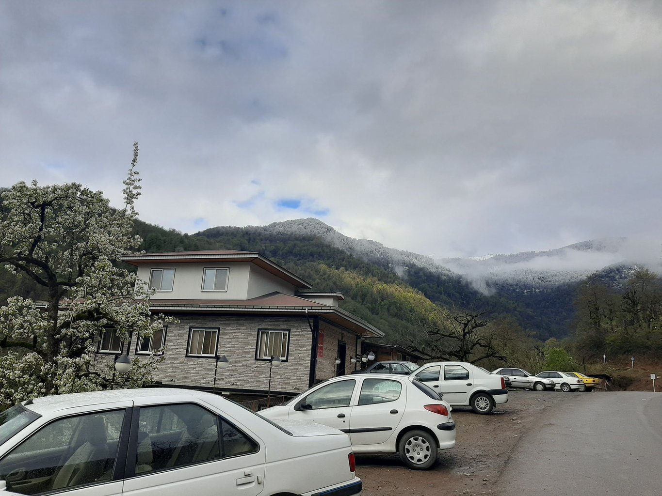 سوئیت فلت کاشانه چهارفصل حسینی