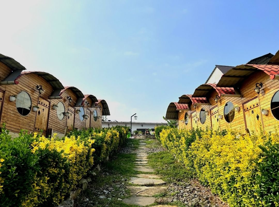 فلت بام کوتنا