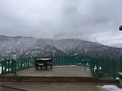 بومگردی بهشت - واحد انجیلو