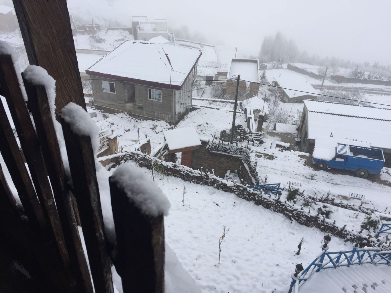 بومگردی بهشت - واحد نمدار