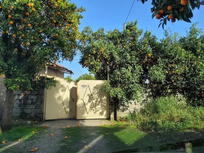 بوم گردی کیجاسرا - واحد تی ته