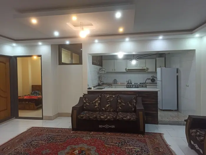 آپارتمان دوخوابه پل بزرگمهر ۱ - نمایی از فضای سالن 