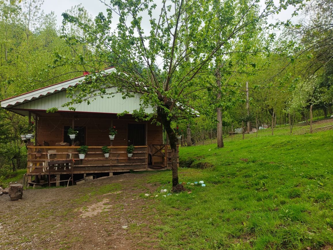 یک خوابه جنگلی آمادای