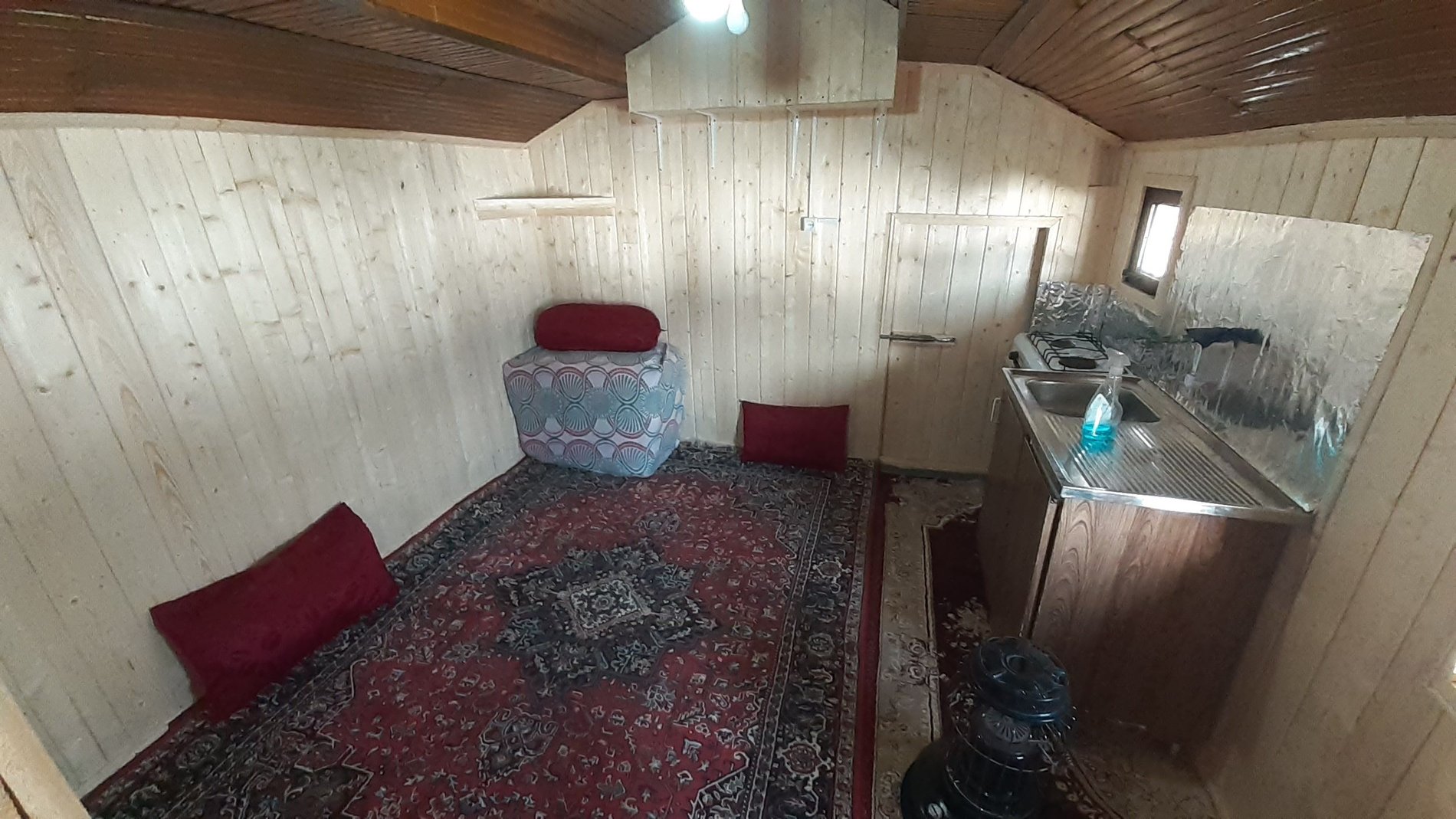 فلت کوهستانی پژمان