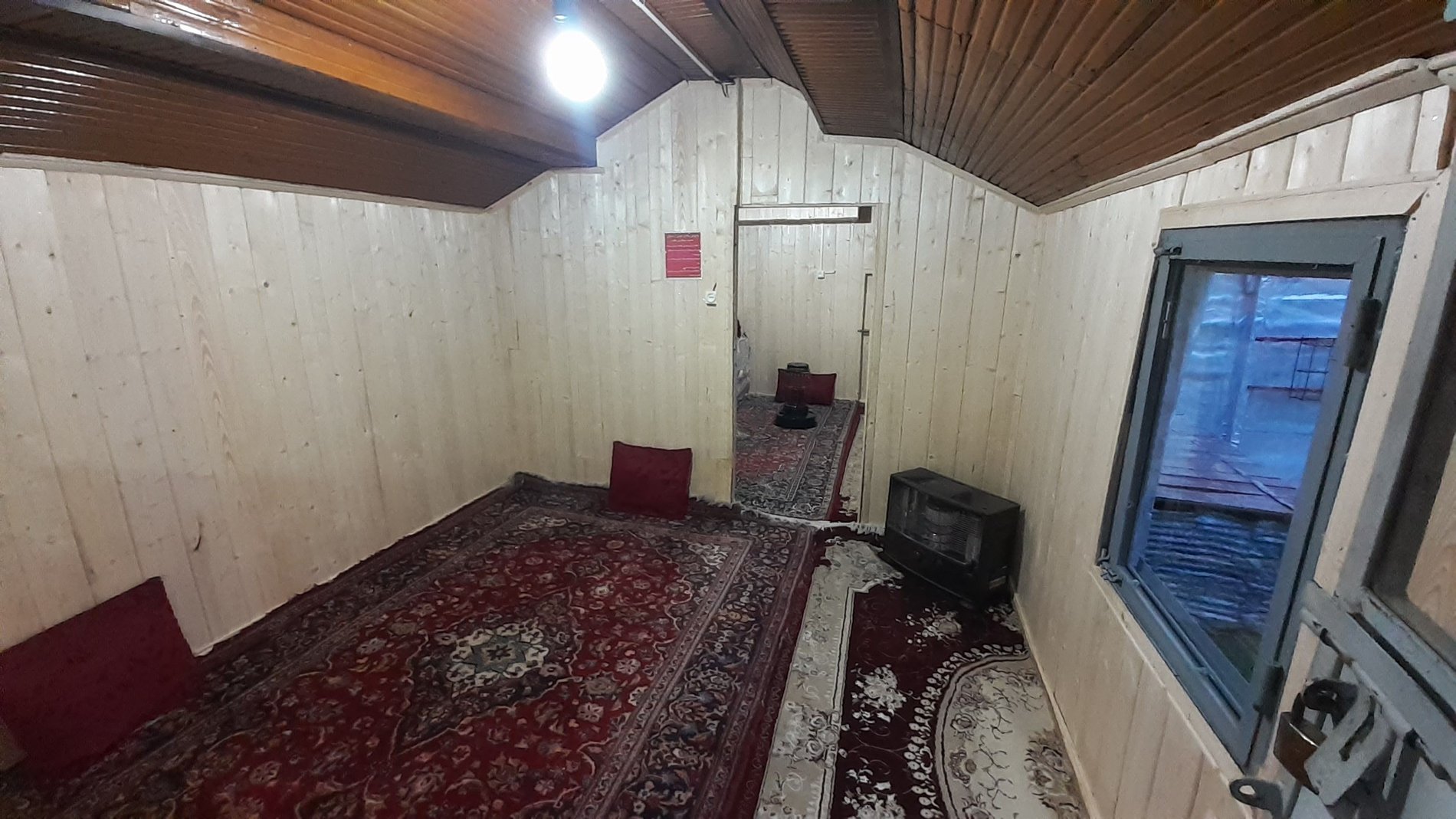 فلت کوهستانی پژمان