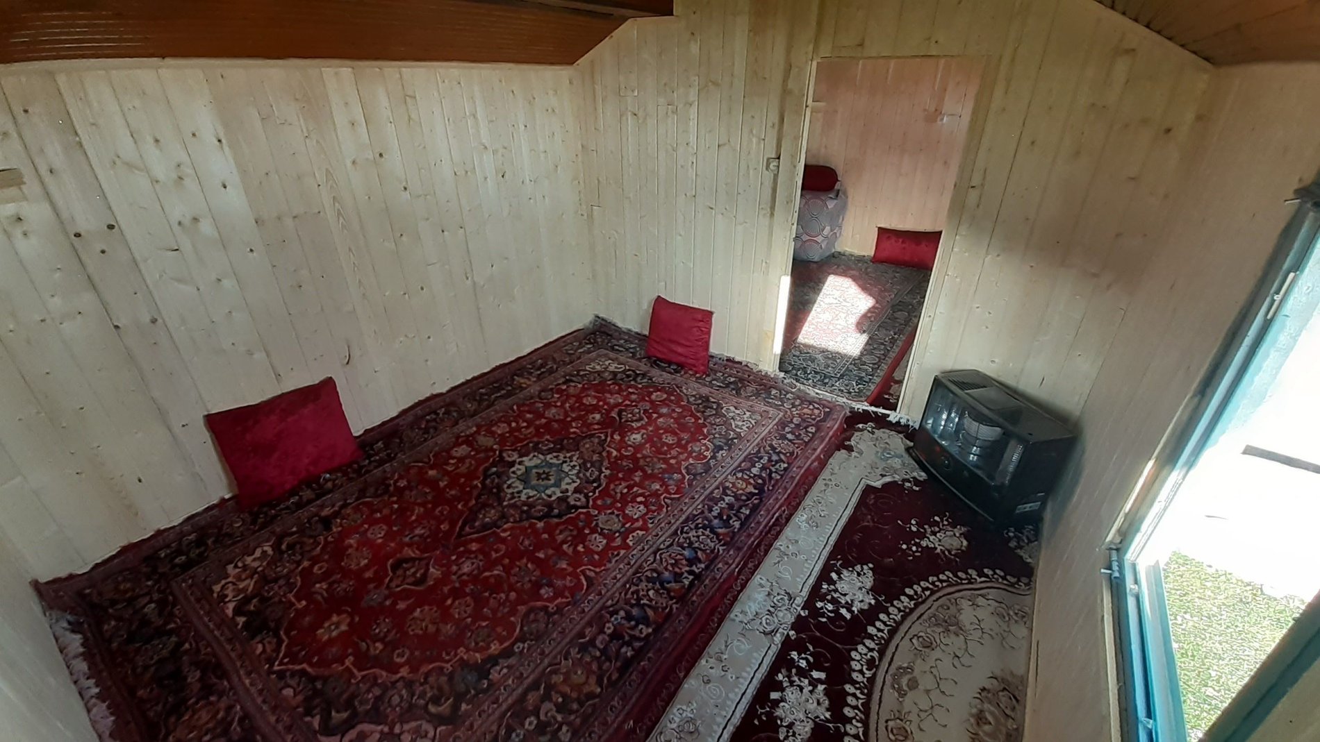 فلت کوهستانی پژمان