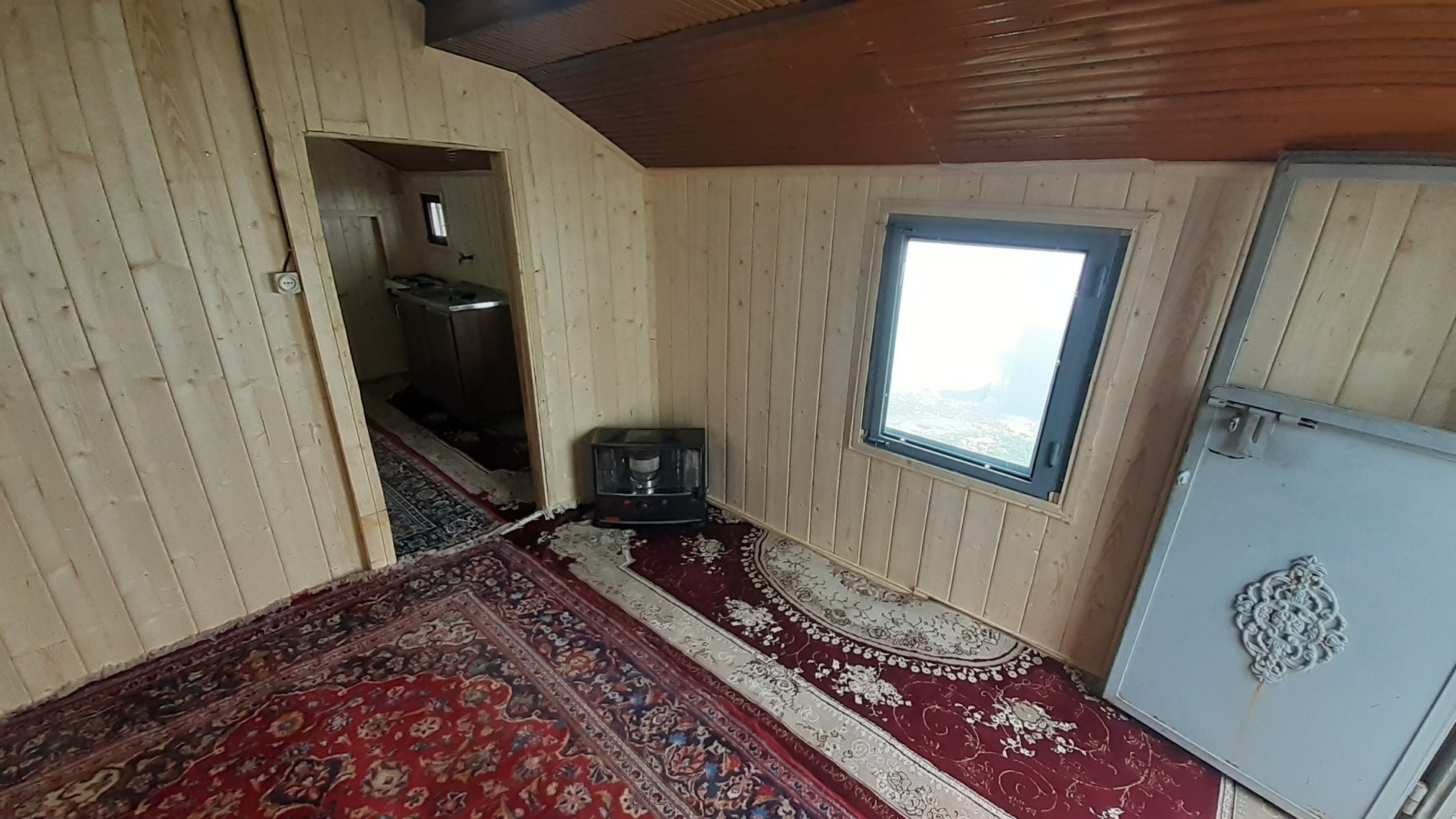 فلت کوهستانی پژمان