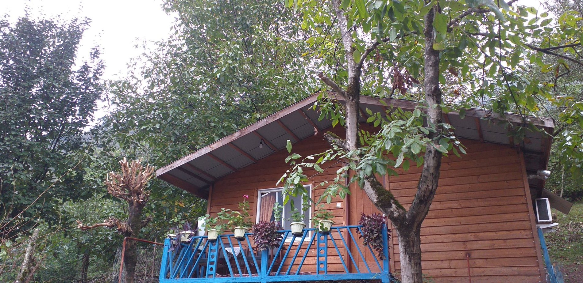 فلت جنگلی دلنشین