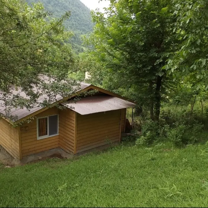 کلبه فلت جنگلی دلنشین