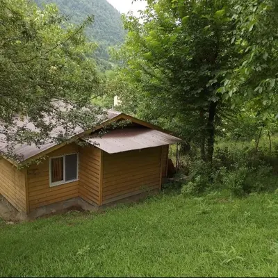 کلبه فلت جنگلی دلنشین