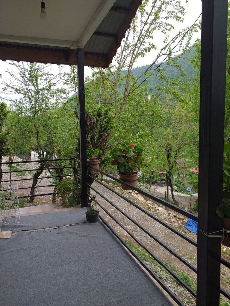 دوخوابه جنگلی سارینا